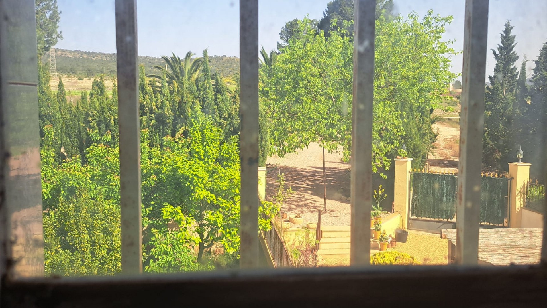 Venta - Finca Propiedad rural -
Monóvar