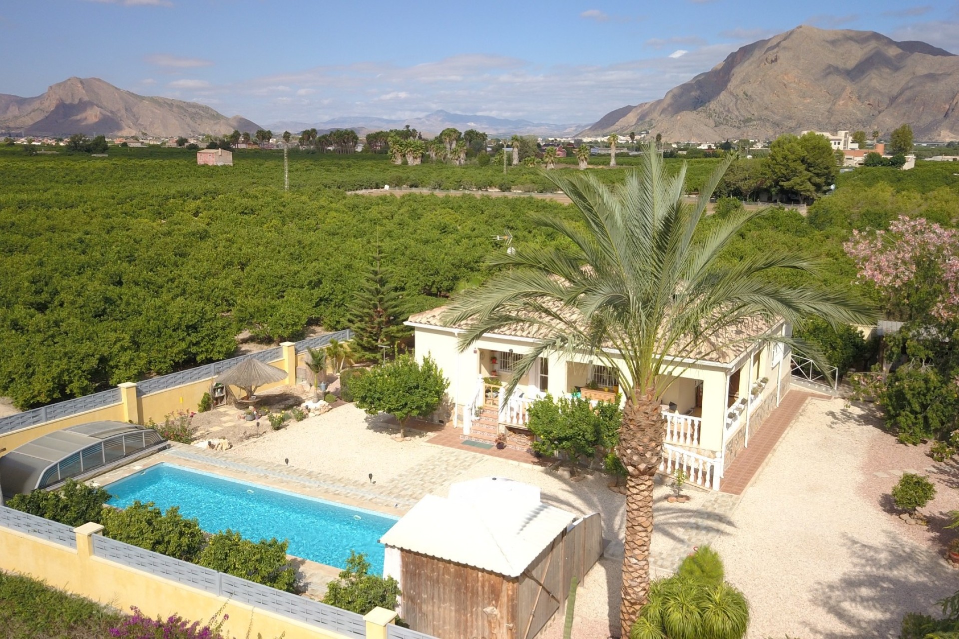 Venta - Finca Propiedad rural -
Orihuela - La Campaneta