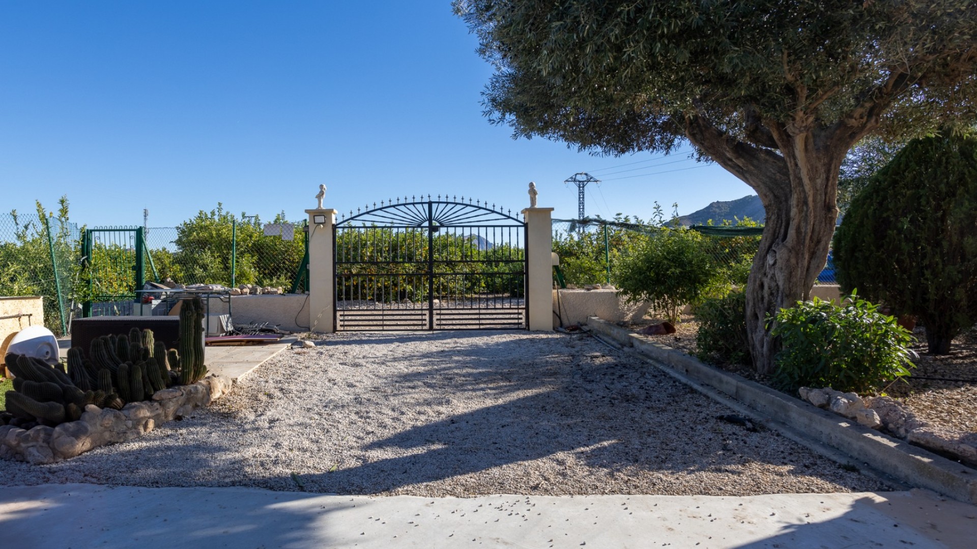 Venta - Finca Propiedad rural -
Orihuela - La Matanza