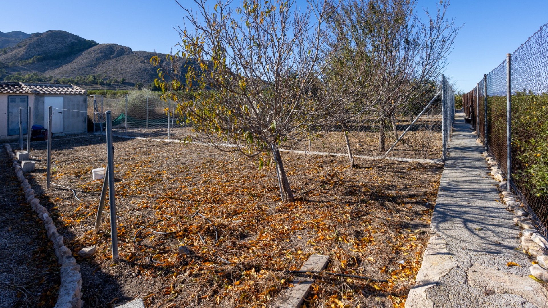 Venta - Finca Propiedad rural -
Orihuela - La Matanza