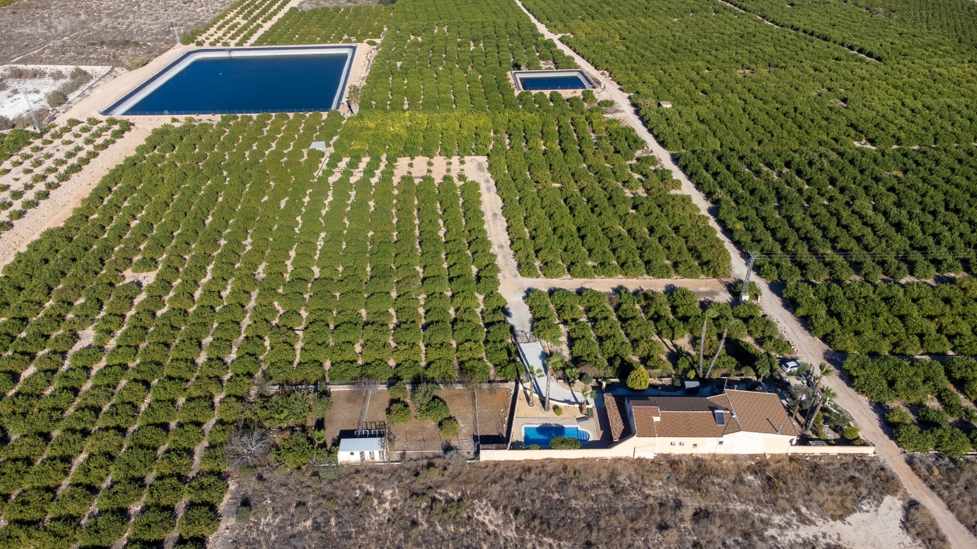 Venta - Finca Propiedad rural -
Orihuela - La Matanza