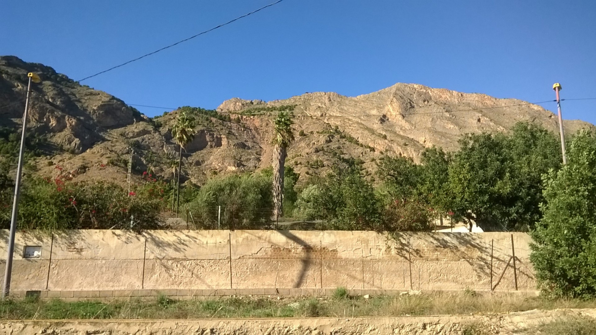 Venta - Finca Propiedad rural -
Orihuela