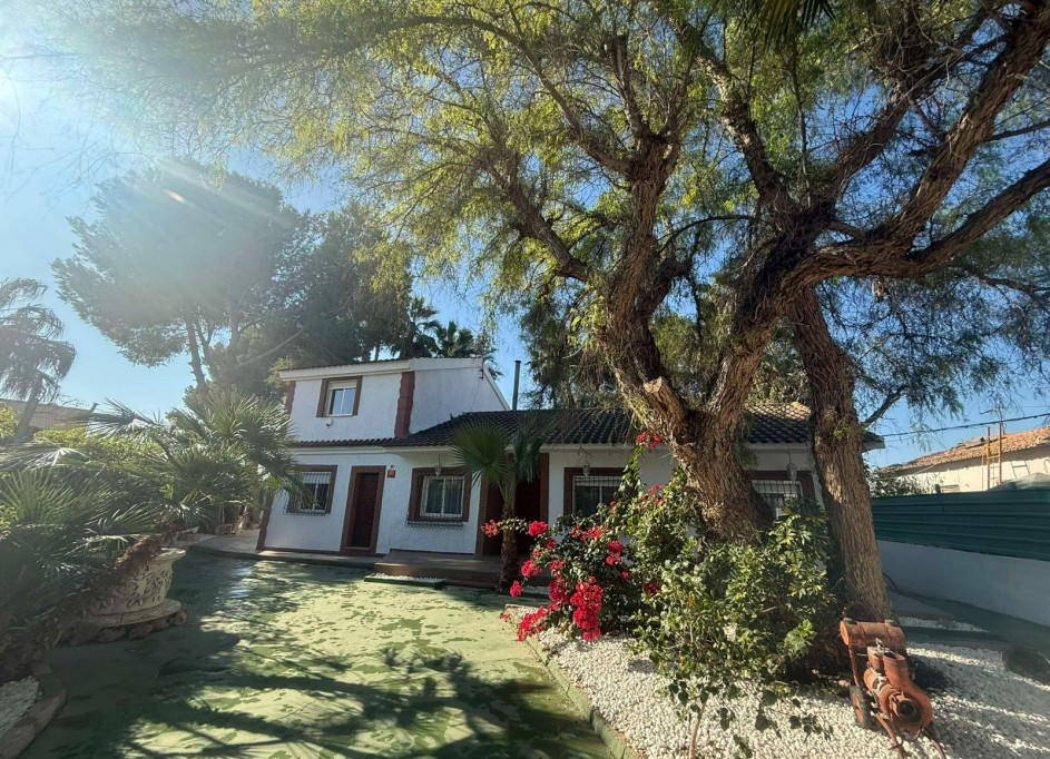 Venta - Finca Propiedad rural -
Orihuela