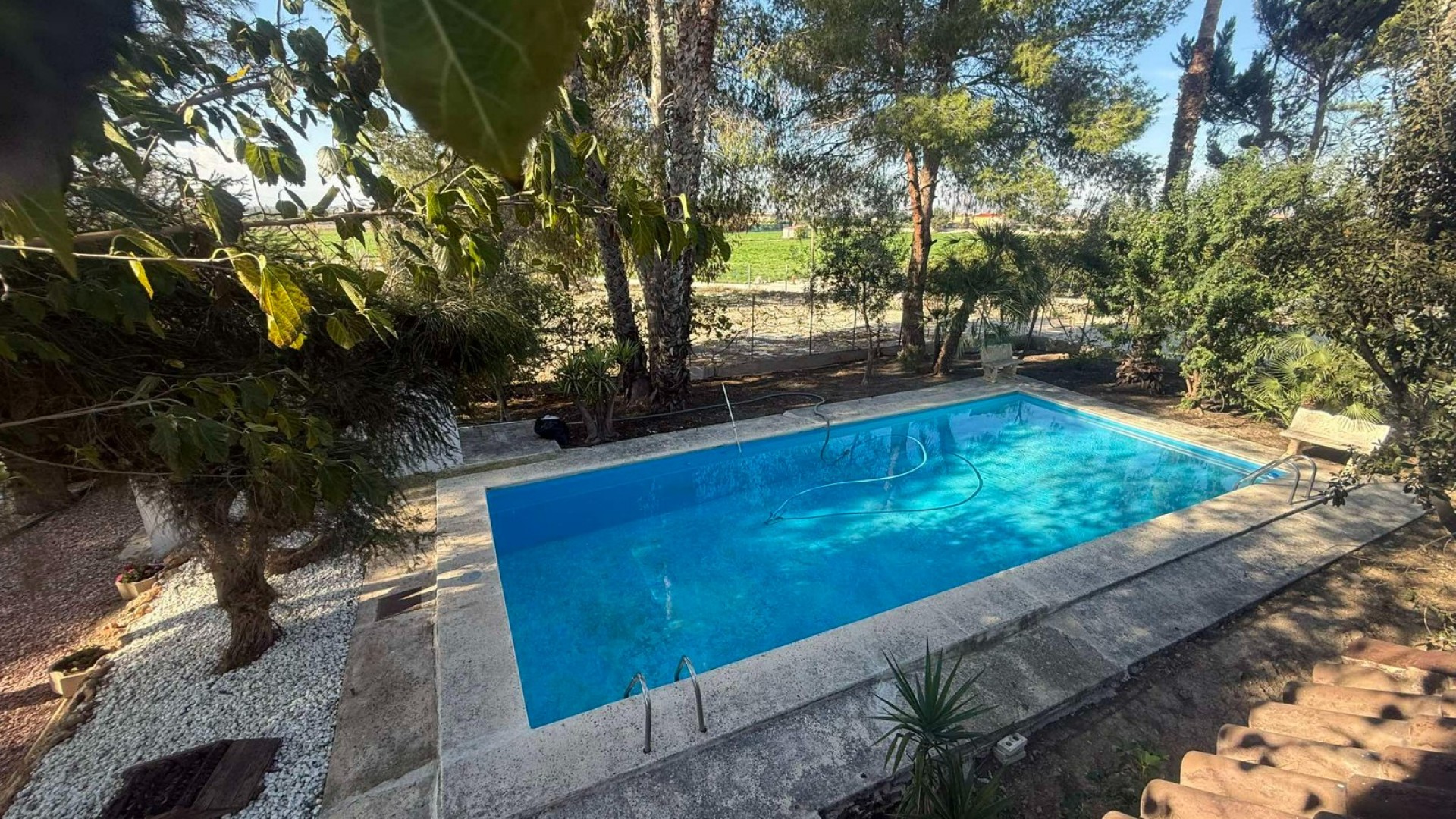 Venta - Finca Propiedad rural -
Orihuela