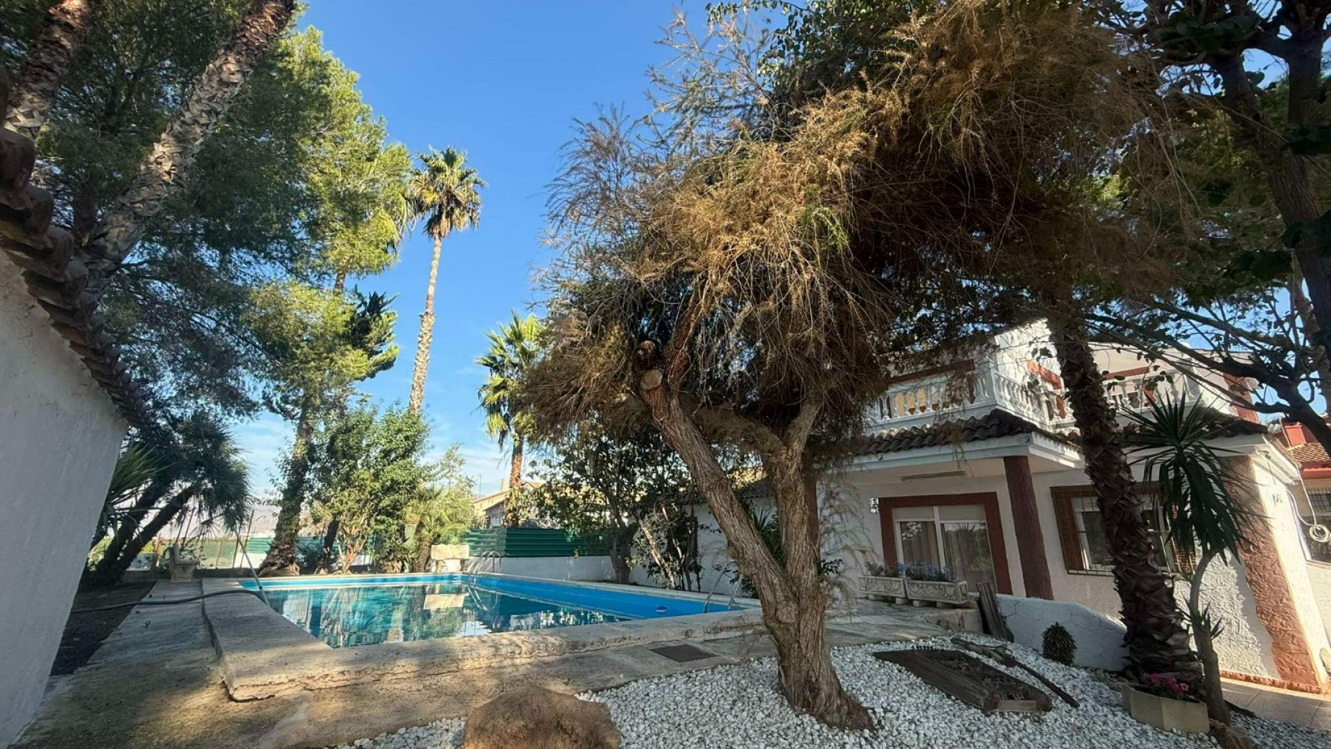 Venta - Finca Propiedad rural -
Orihuela