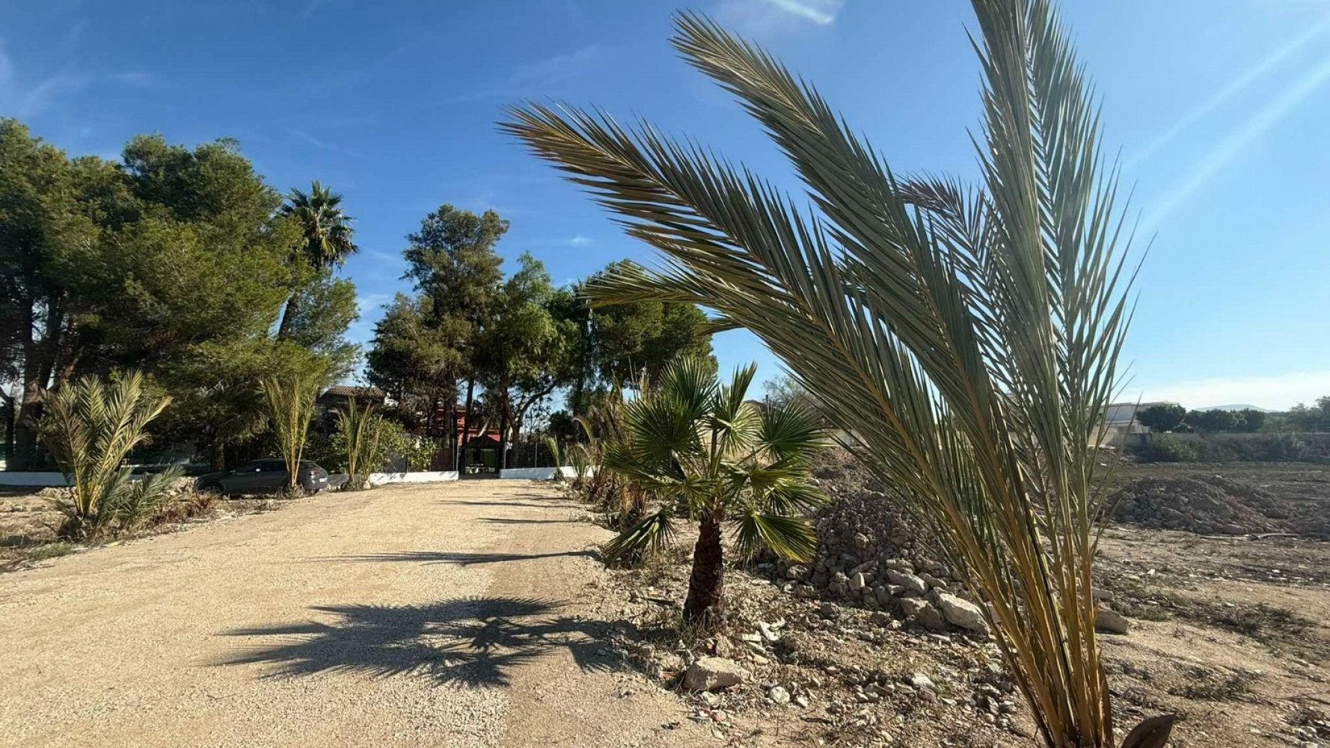 Venta - Finca Propiedad rural -
Orihuela