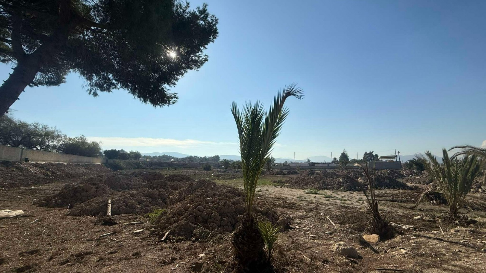 Venta - Finca Propiedad rural -
Orihuela