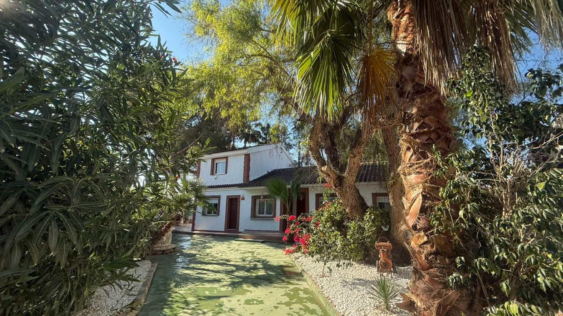 Venta - Finca Propiedad rural -
Orihuela