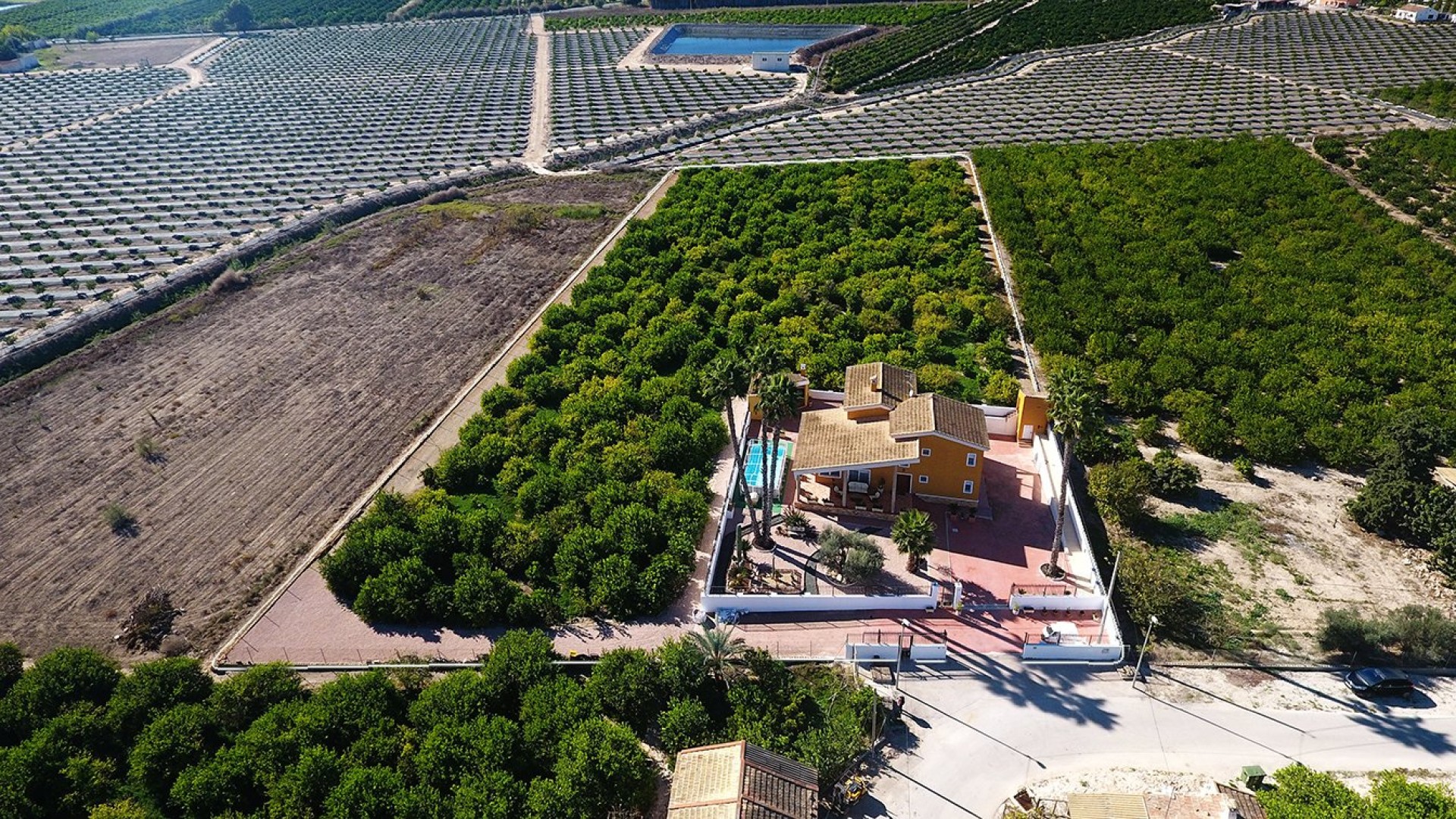 Venta - Finca Propiedad rural -
Orihuela