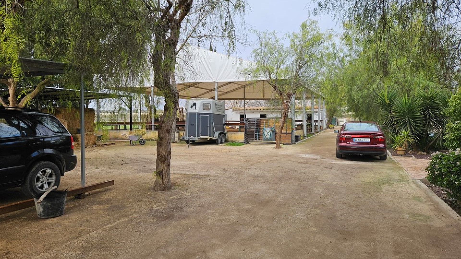 Venta - Finca Propiedad rural -
Orihuela