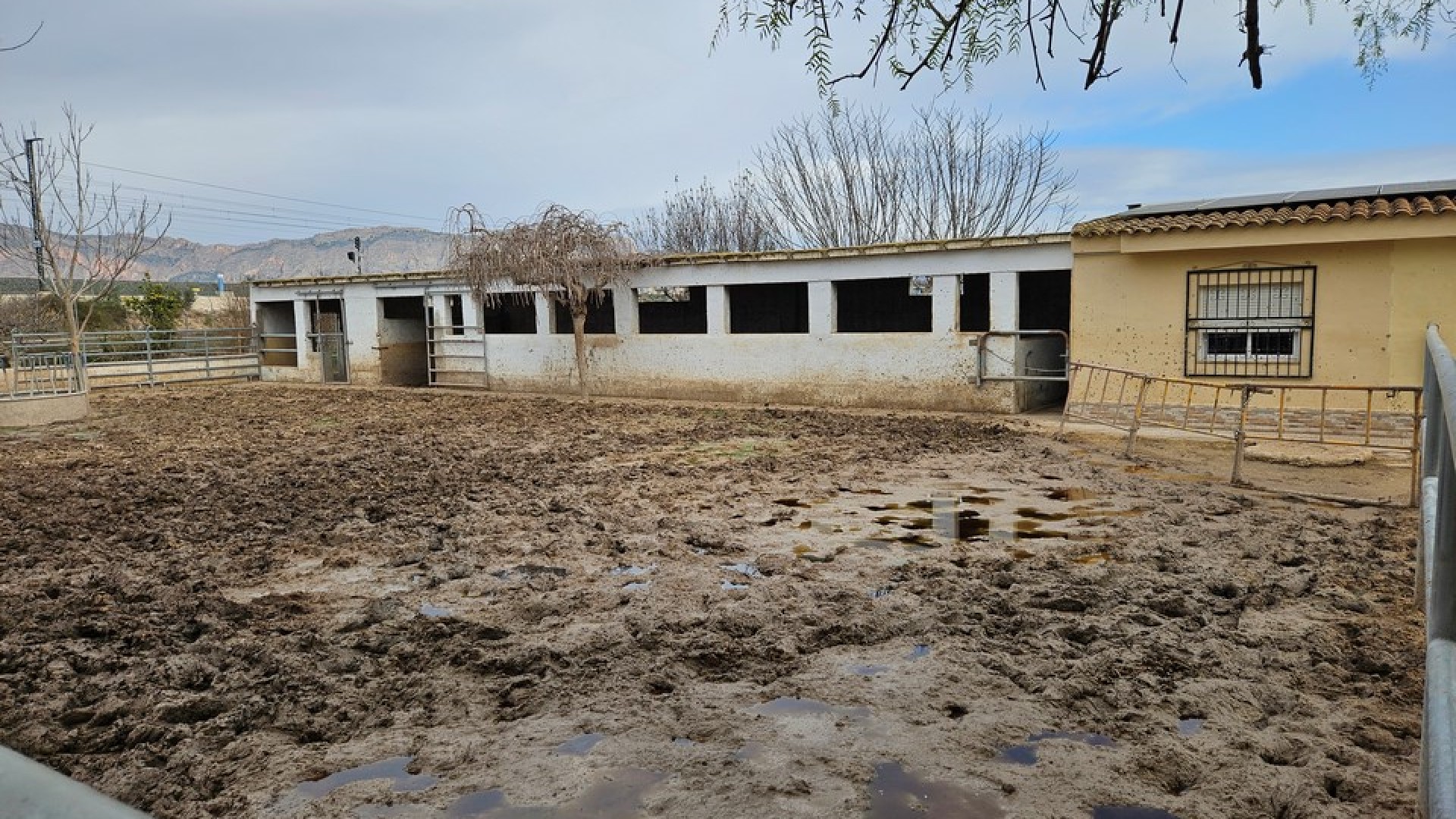 Venta - Finca Propiedad rural -
Orihuela