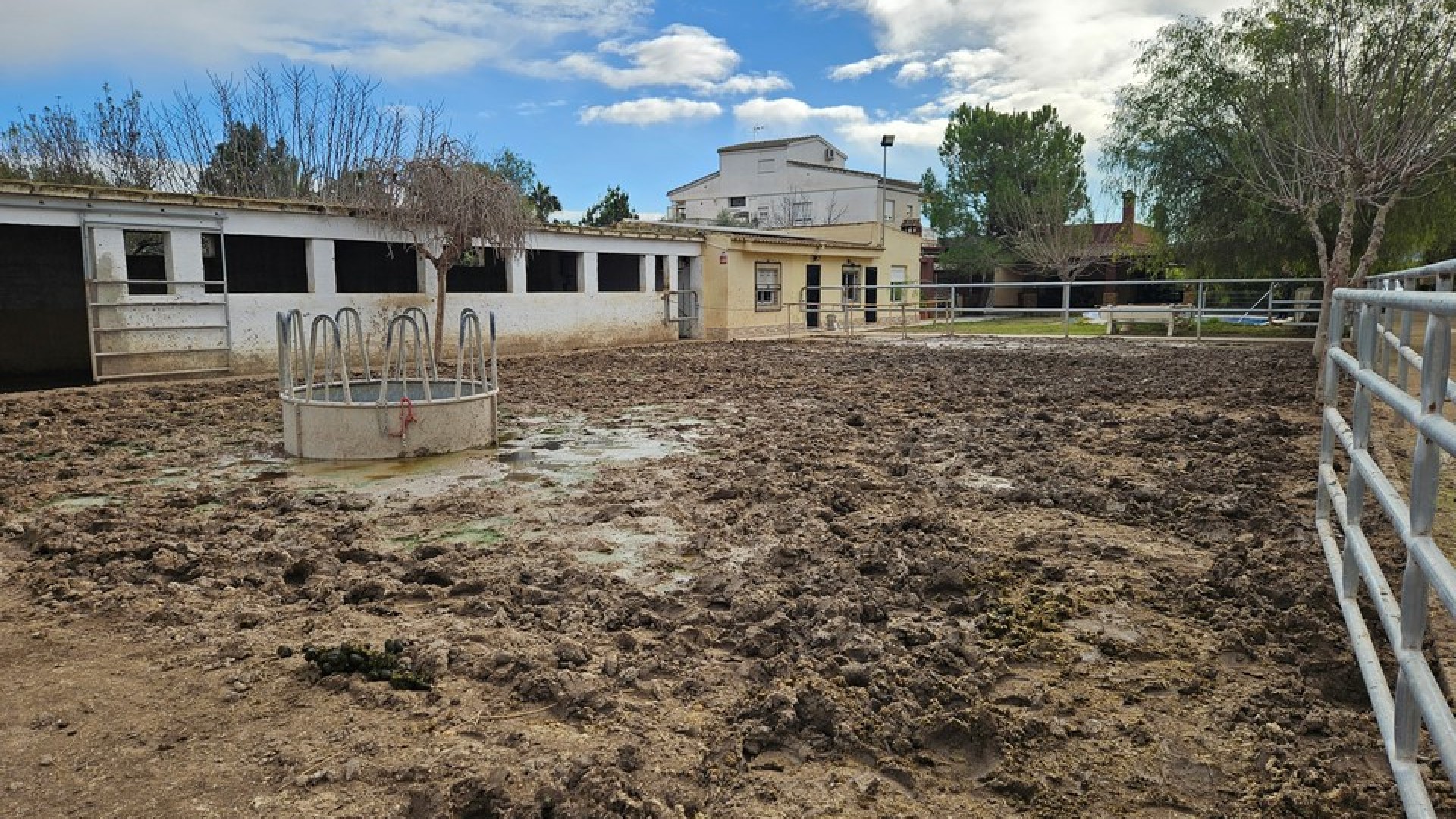 Venta - Finca Propiedad rural -
Orihuela