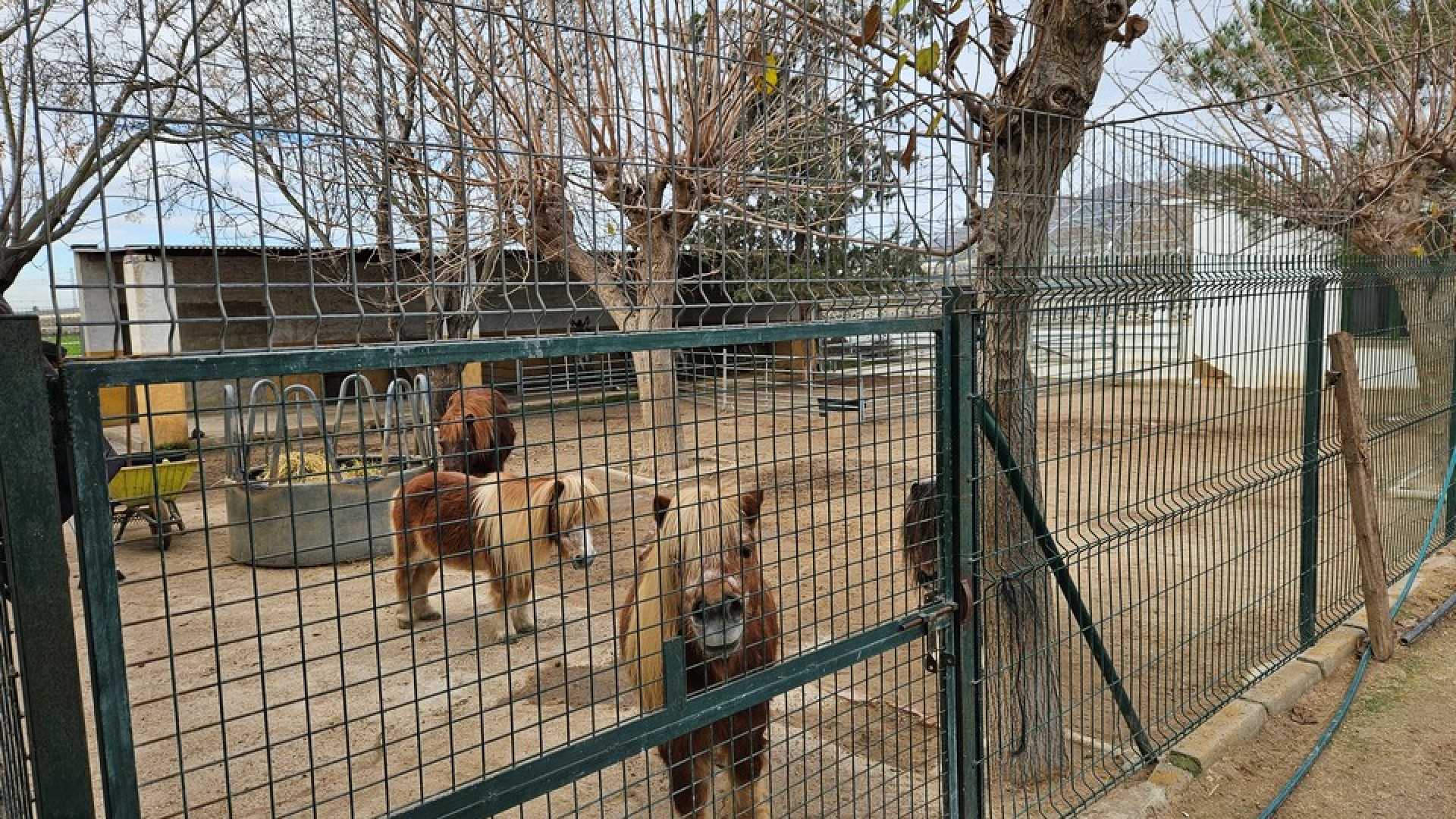 Venta - Finca Propiedad rural -
Orihuela