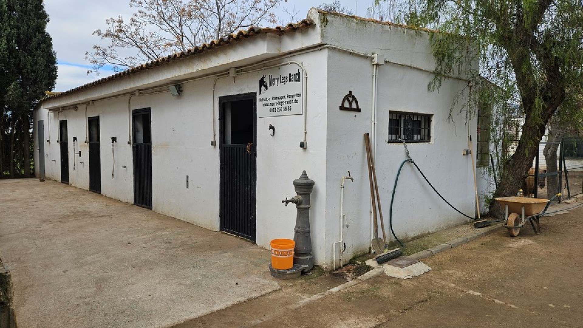 Venta - Finca Propiedad rural -
Orihuela