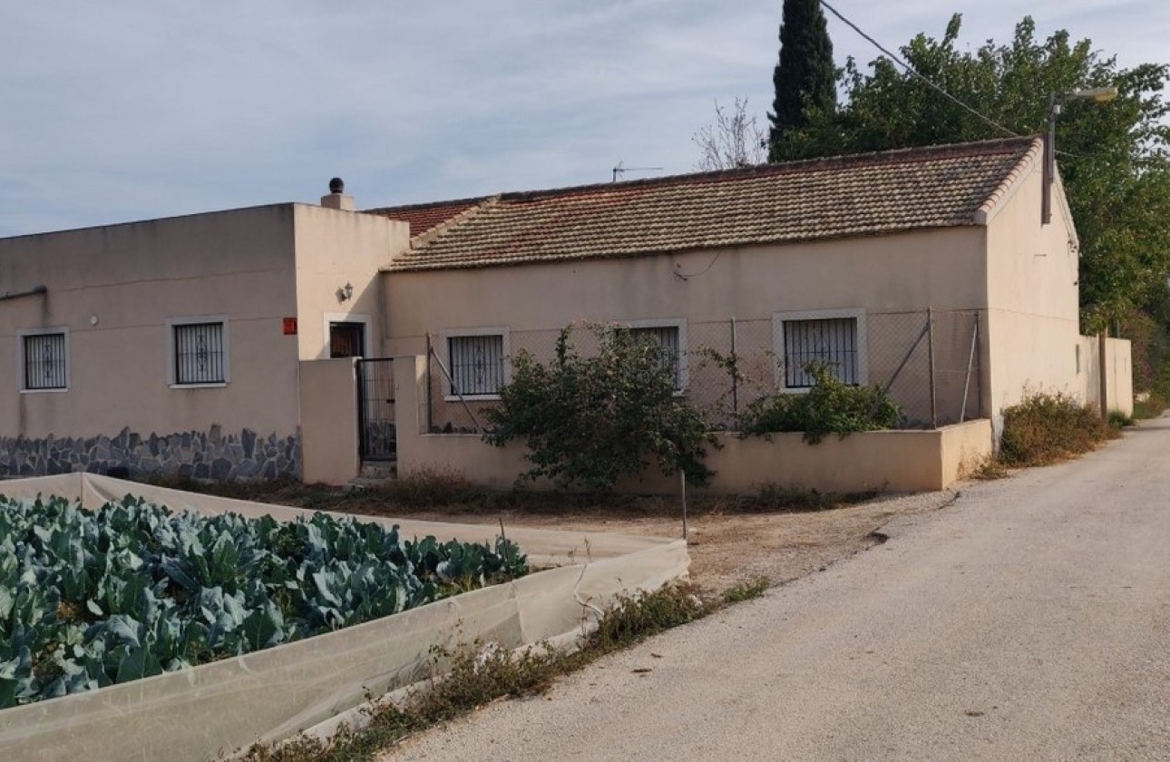 Venta - Finca Propiedad rural -
Orihuela