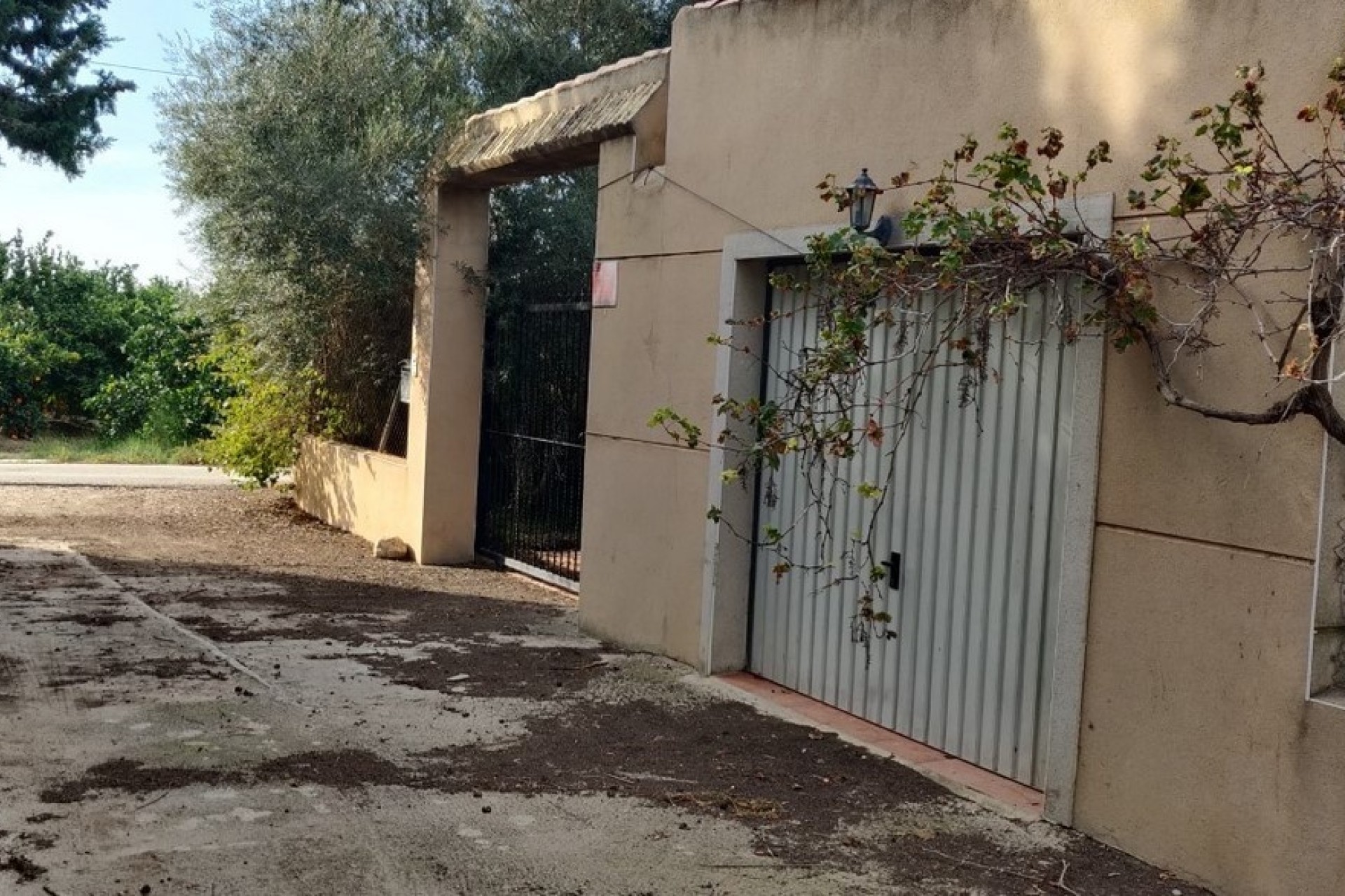 Venta - Finca Propiedad rural -
Orihuela