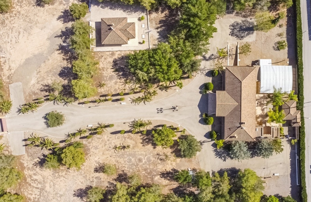 Venta - Finca Propiedad rural -
Orihuela