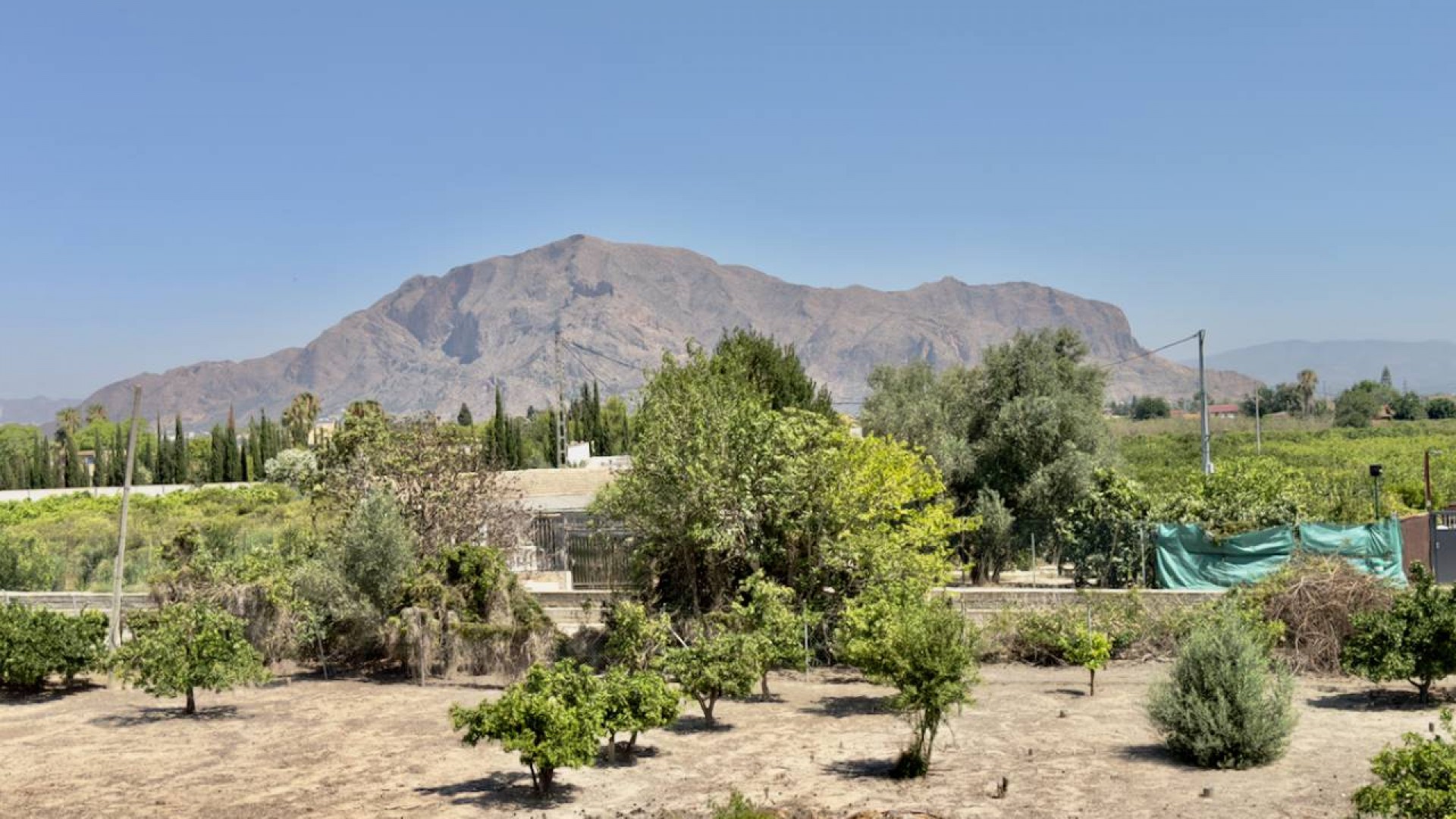 Venta - Finca Propiedad rural -
Orihuela