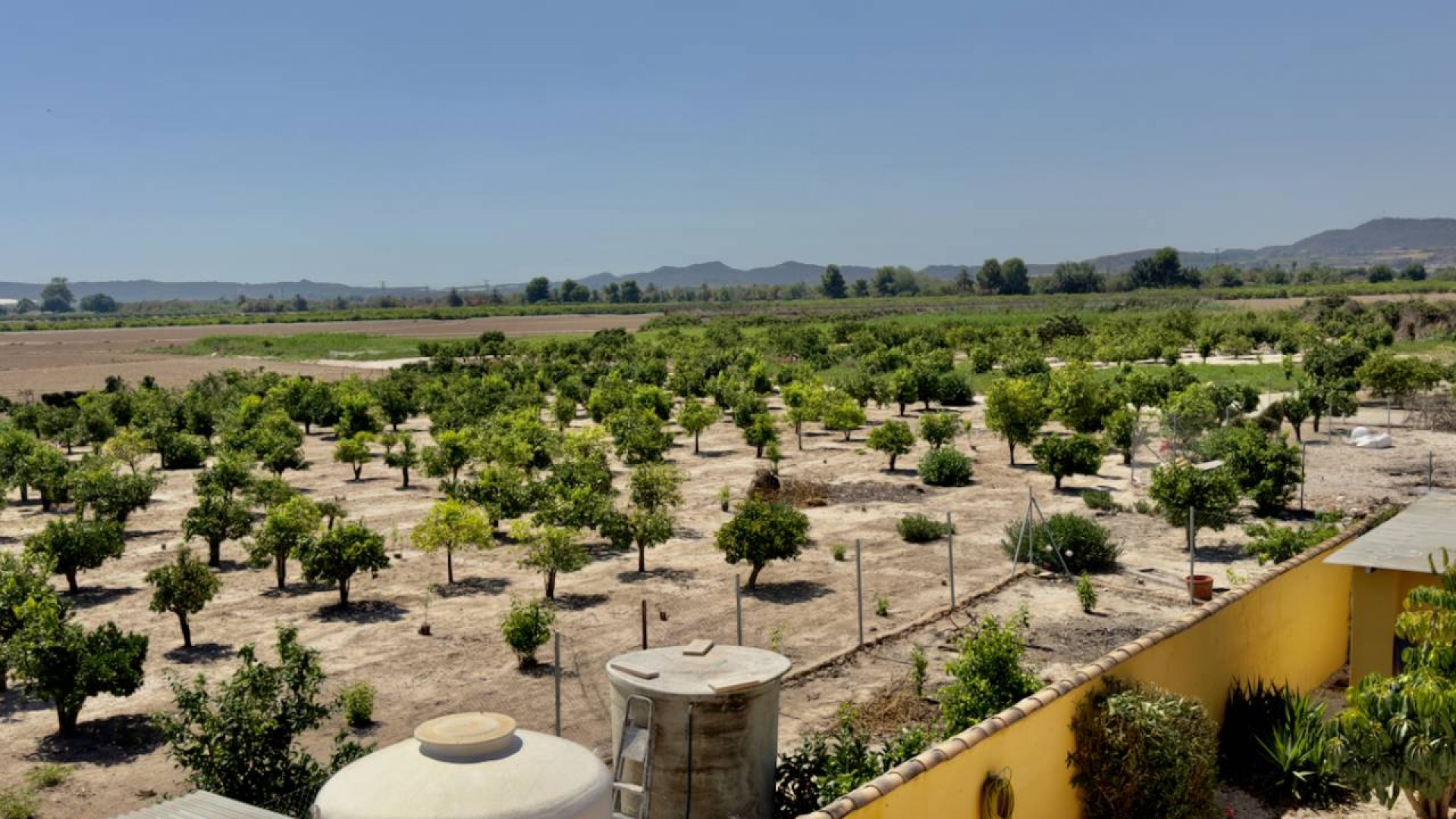 Venta - Finca Propiedad rural -
Orihuela