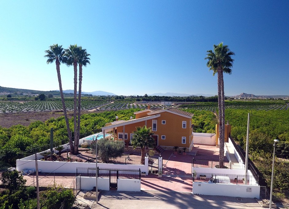 Venta - Finca Propiedad rural -
Orihuela