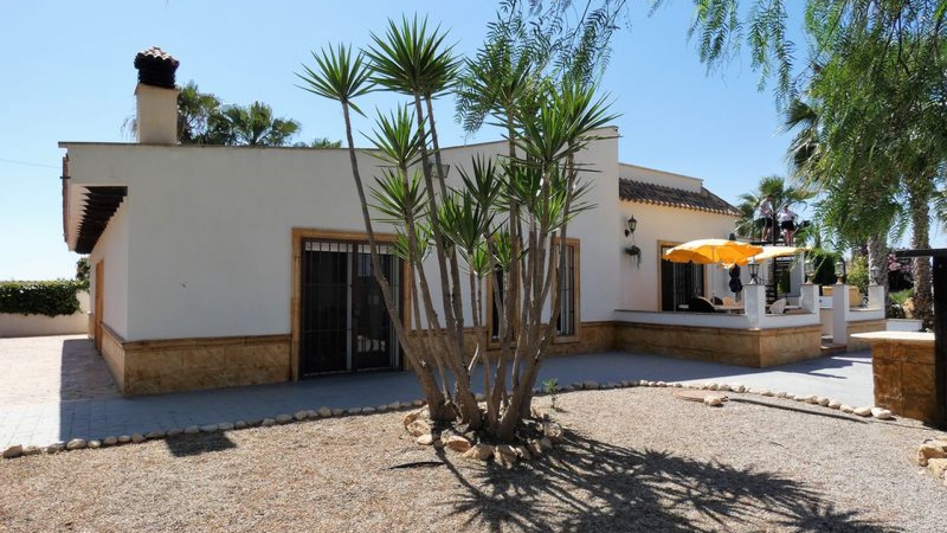 Venta - Finca Propiedad rural -
Orihuela