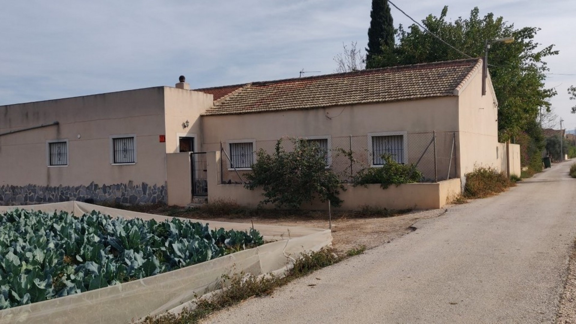 Venta - Finca Propiedad rural -
Orihuela
