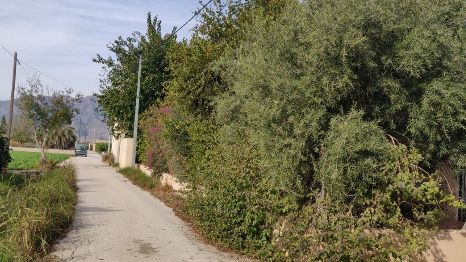 Venta - Finca Propiedad rural -
Orihuela