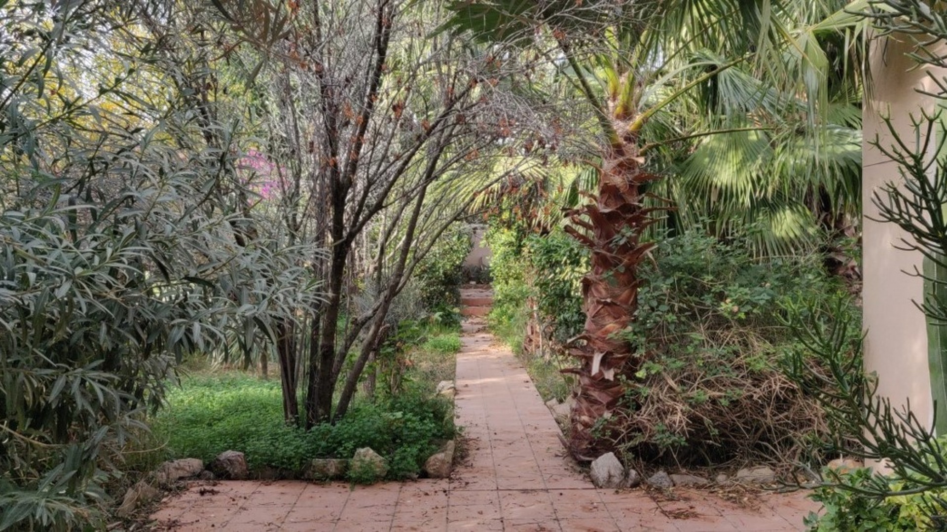 Venta - Finca Propiedad rural -
Orihuela