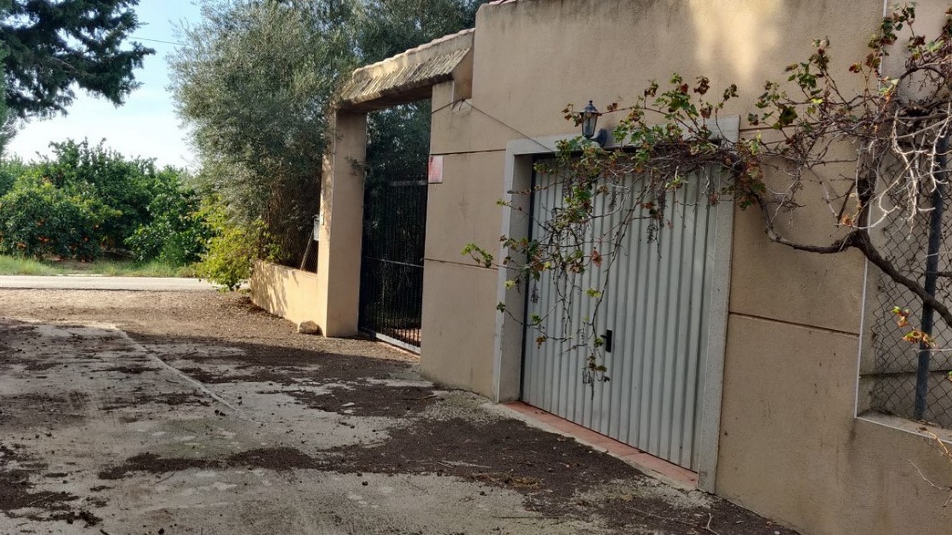 Venta - Finca Propiedad rural -
Orihuela