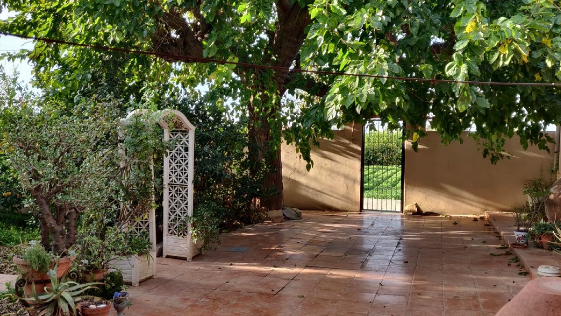 Venta - Finca Propiedad rural -
Orihuela