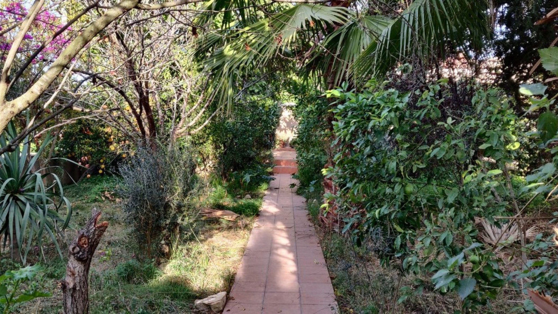 Venta - Finca Propiedad rural -
Orihuela