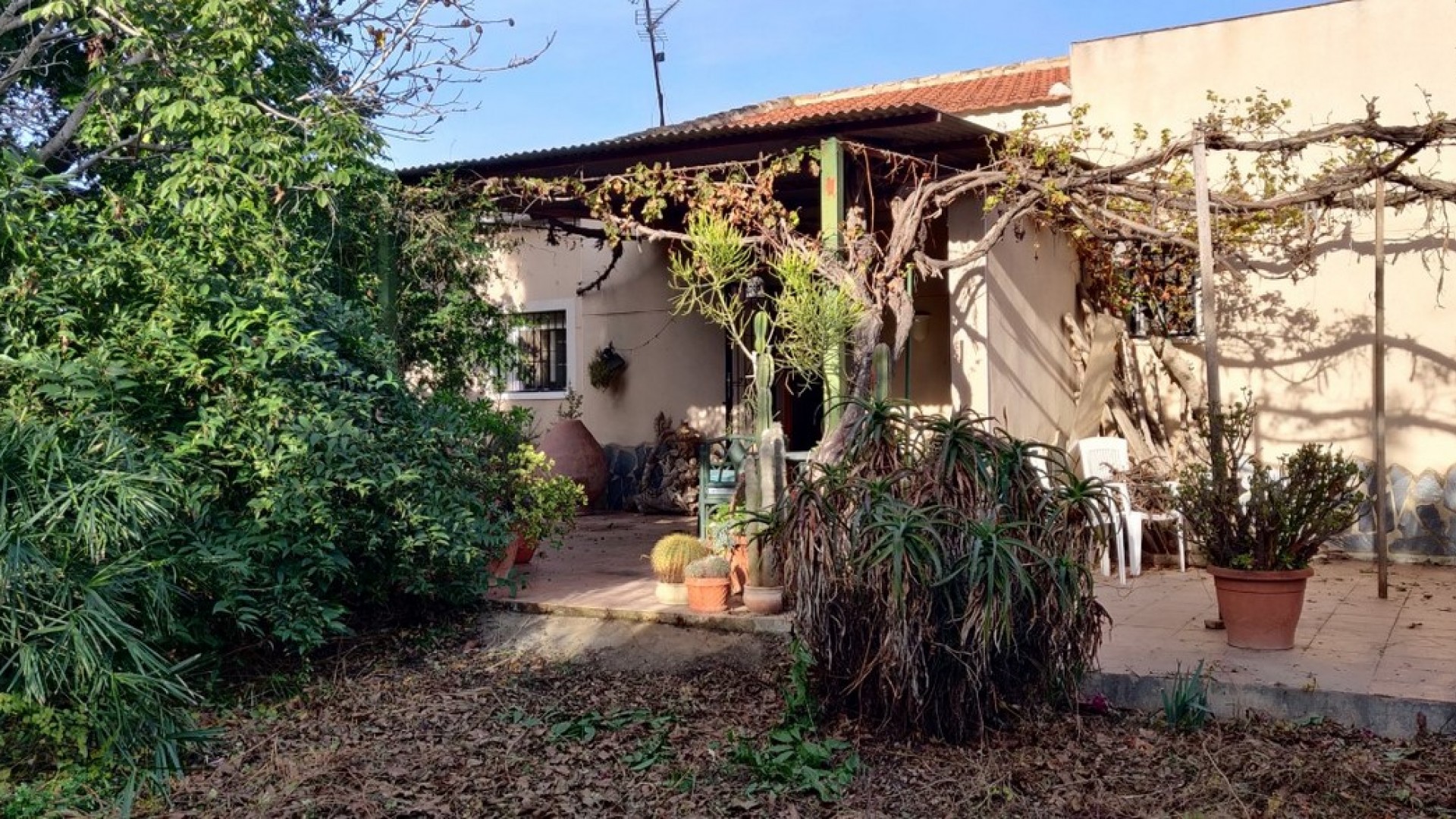 Venta - Finca Propiedad rural -
Orihuela