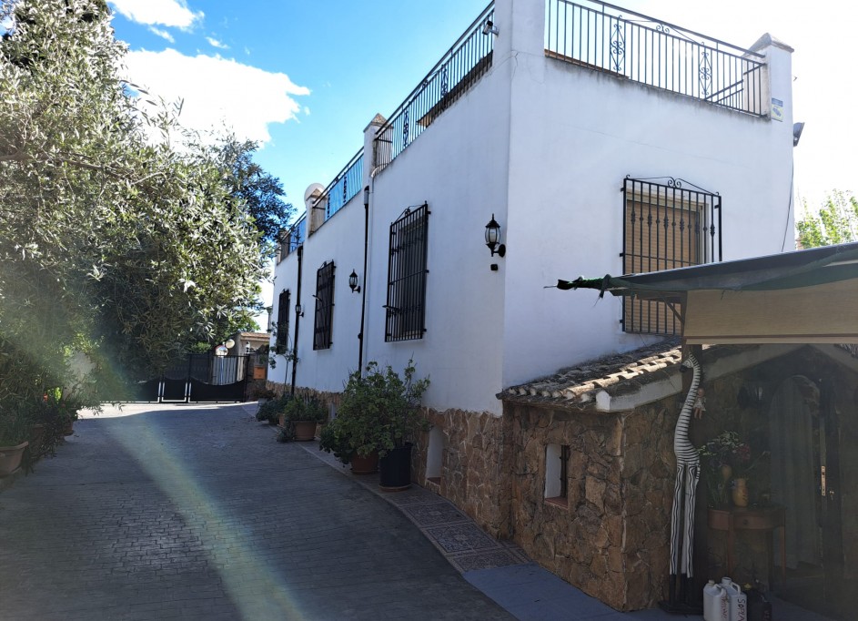 Venta - Finca Propiedad rural -
Orihuela