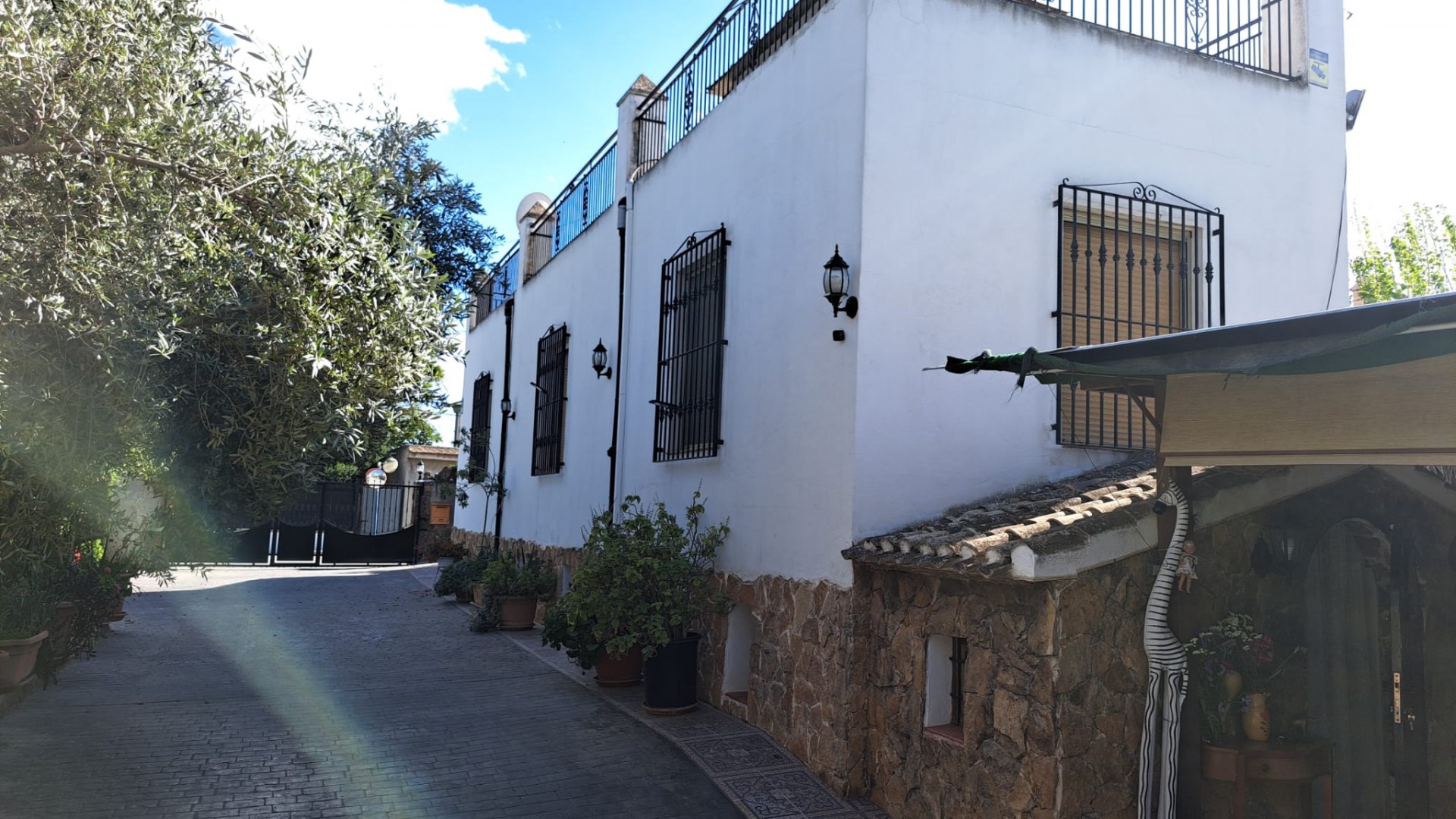 Venta - Finca Propiedad rural -
Orihuela