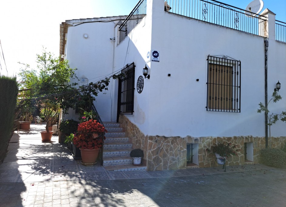Venta - Finca Propiedad rural -
Orihuela