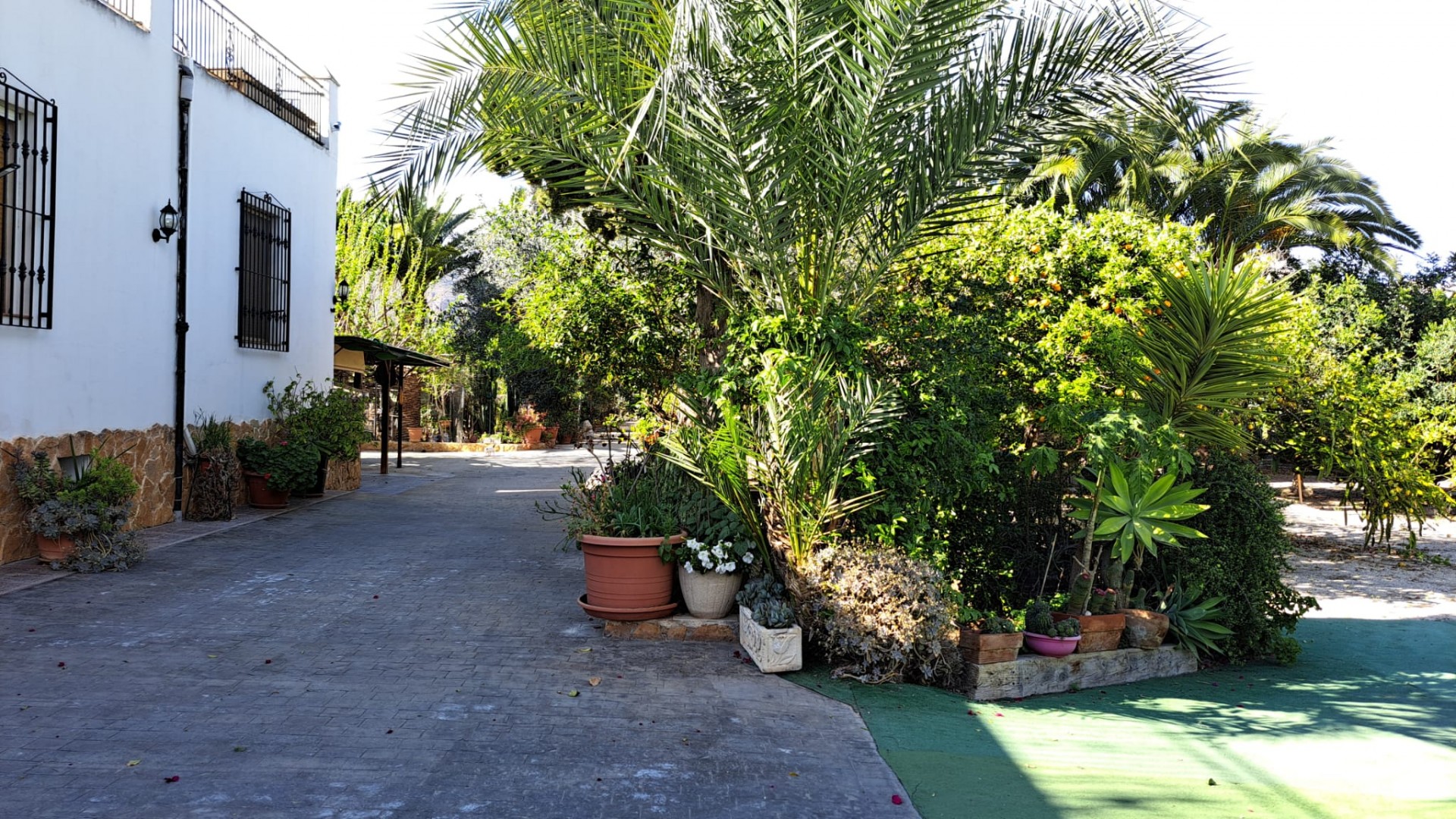 Venta - Finca Propiedad rural -
Orihuela