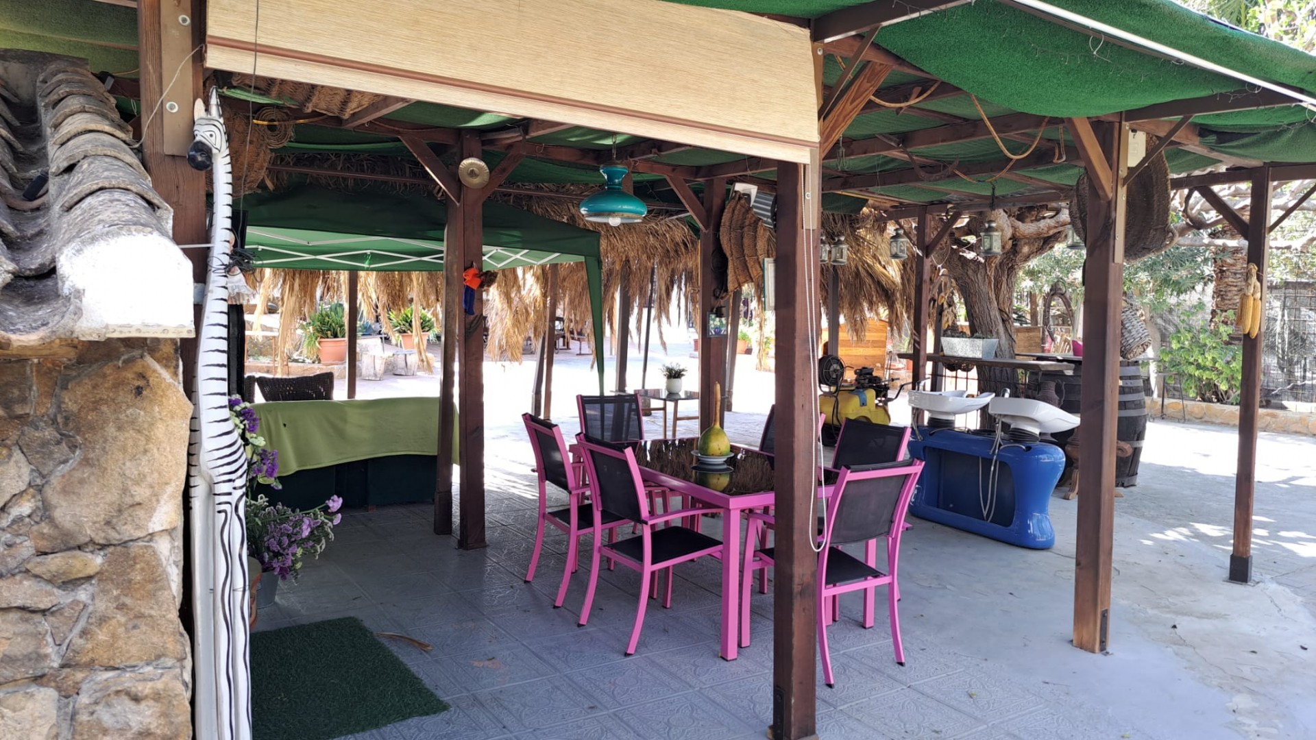 Venta - Finca Propiedad rural -
Orihuela