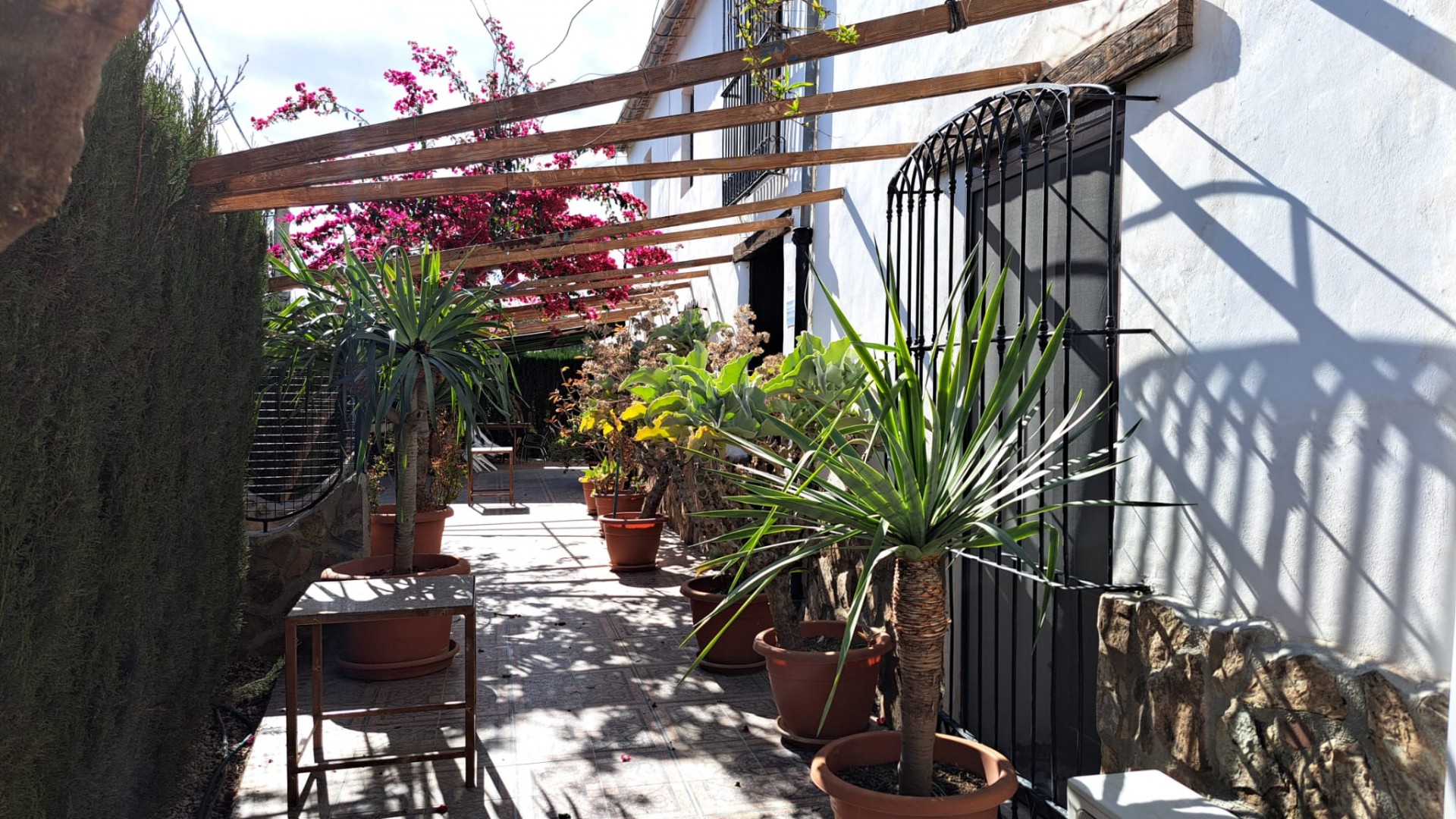 Venta - Finca Propiedad rural -
Orihuela