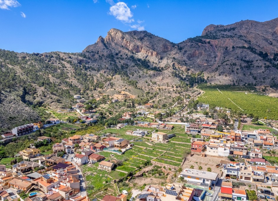 Venta - Finca Propiedad rural -
Orihuela