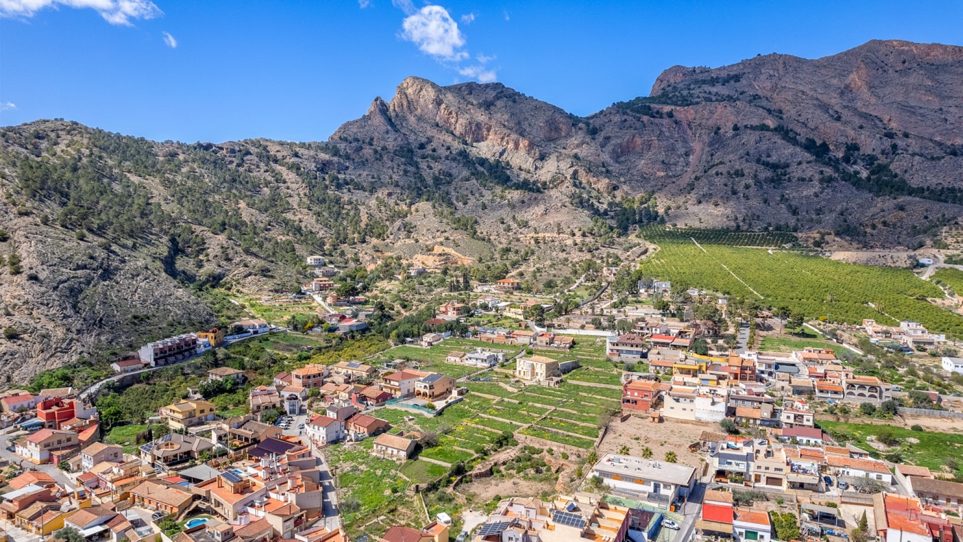 Venta - Finca Propiedad rural -
Orihuela