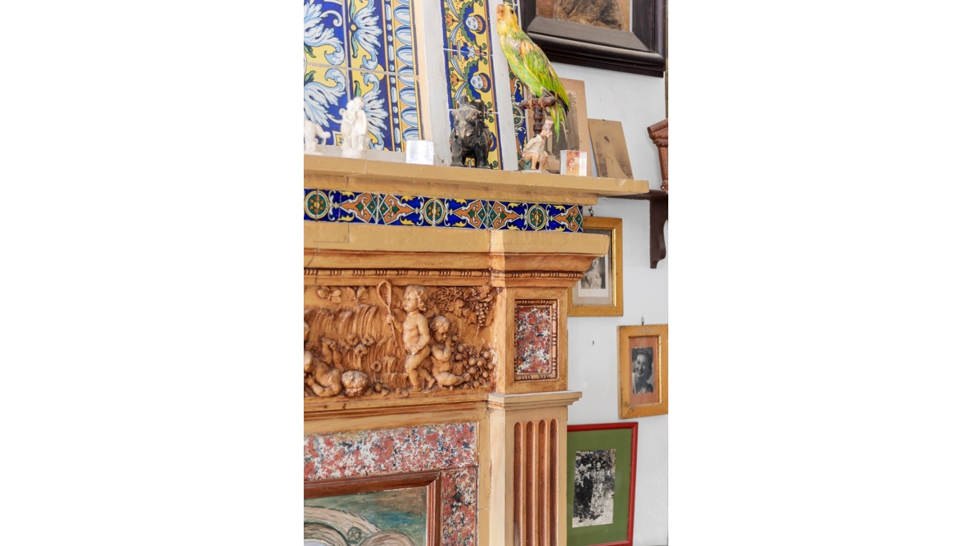 Venta - Finca Propiedad rural -
Orihuela