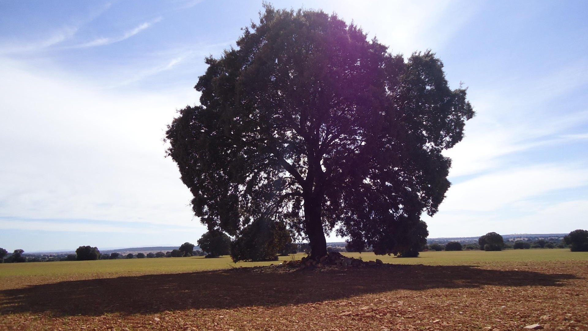 Venta - Finca Propiedad rural -
Ossa de Montiel - Lagunas de ruidera