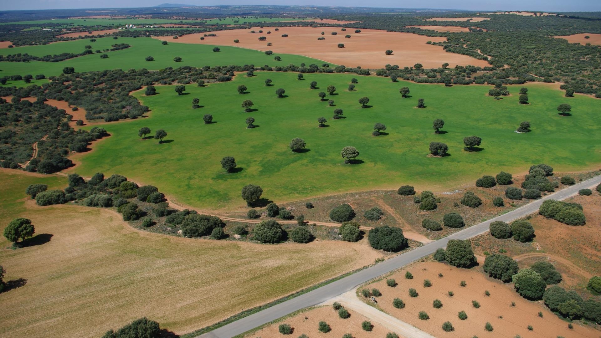 Venta - Finca Propiedad rural -
Ossa de Montiel - Lagunas de ruidera