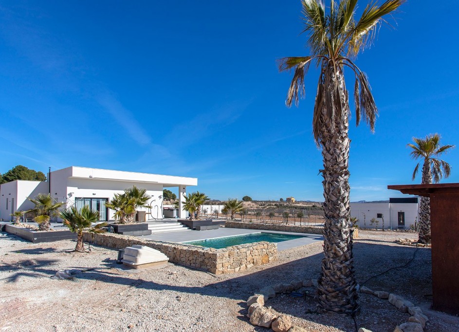 Venta - Finca Propiedad rural -
Pinoso - Campo