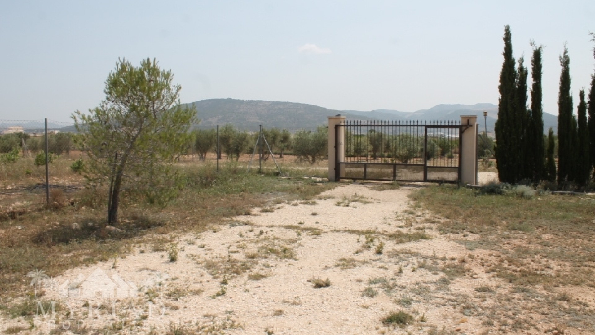 Venta - Finca Propiedad rural -
Pinoso - Pinoso Alicante