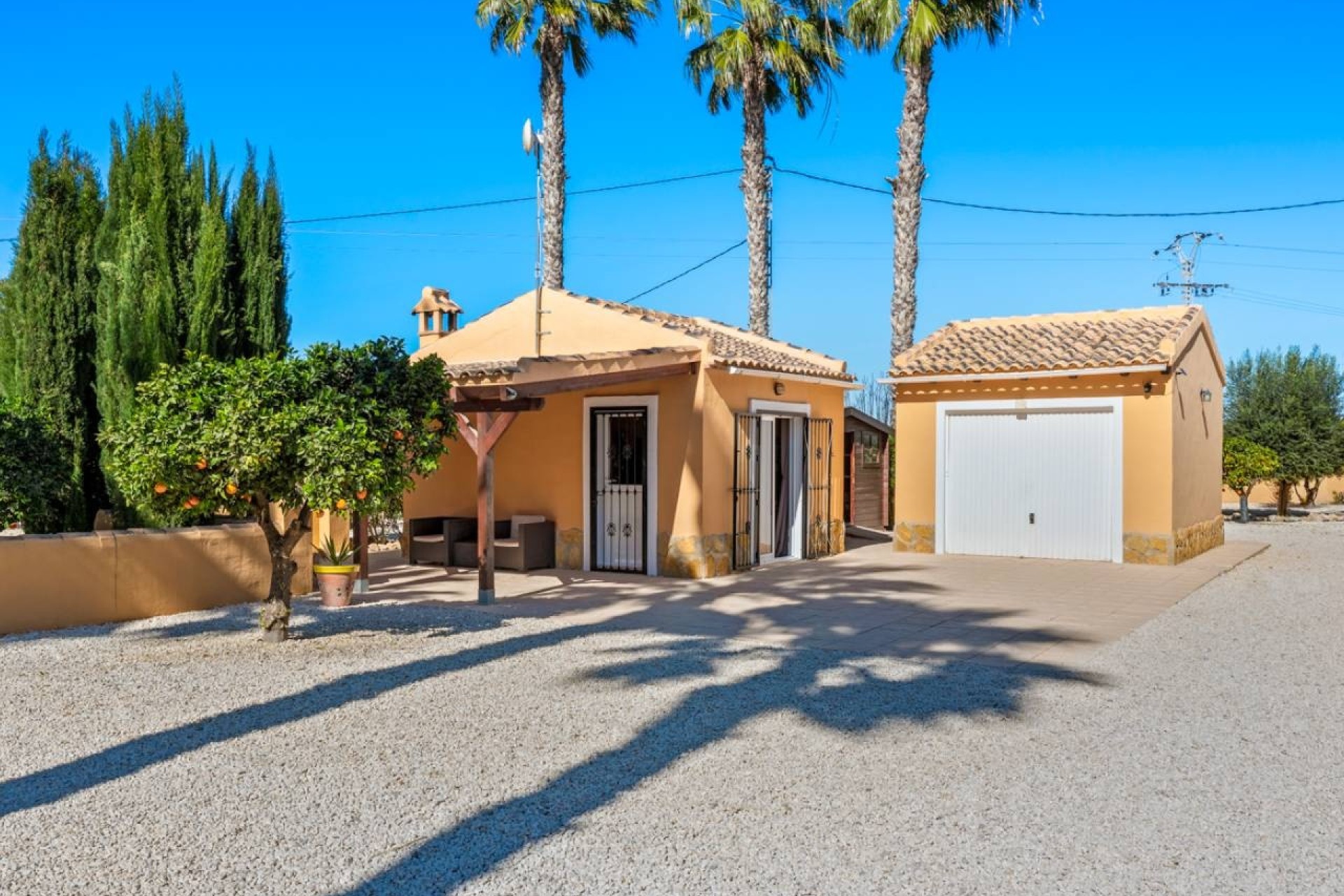 Venta - Finca Propiedad rural -
Rafal