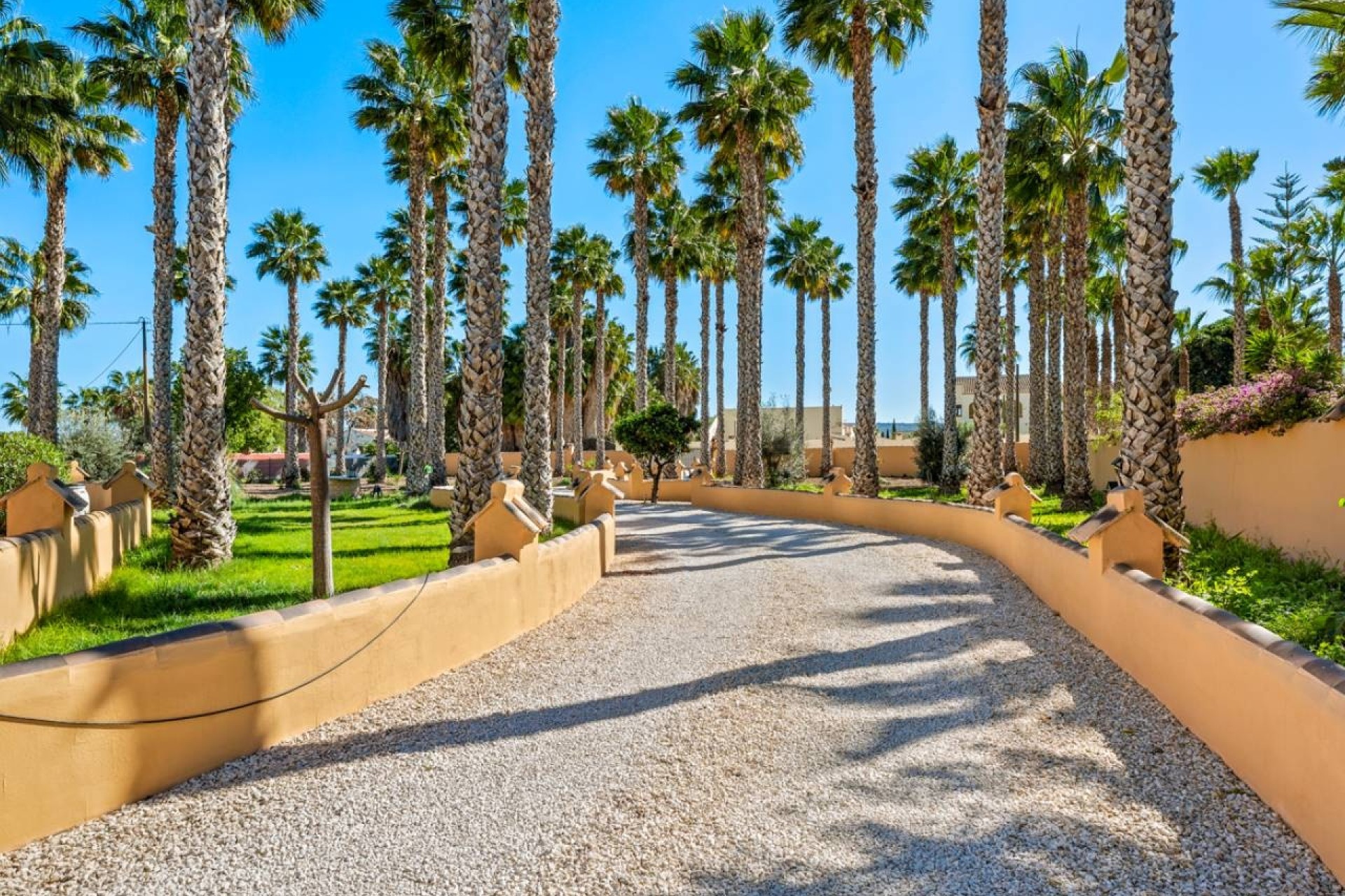 Venta - Finca Propiedad rural -
Rafal