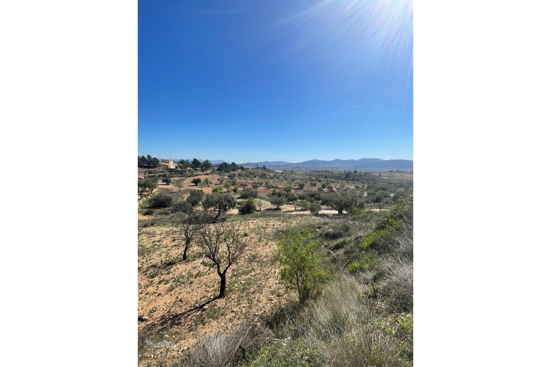 Venta - Finca Propiedad rural -
Raspay - Raspay Murcia