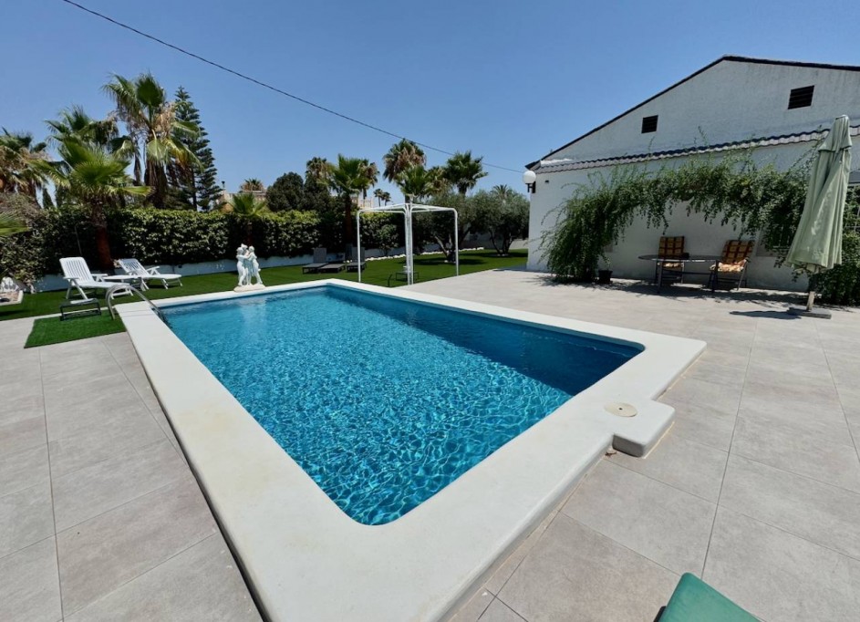 Venta - Finca Propiedad rural -
Torrellano