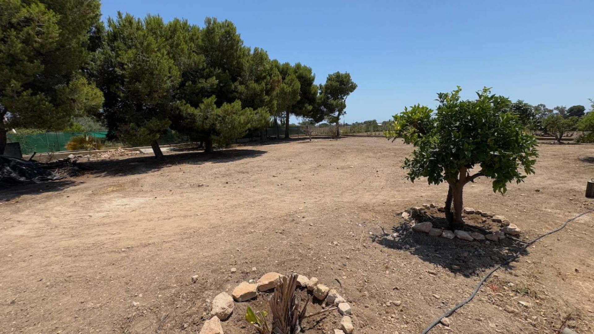 Venta - Finca Propiedad rural -
Torrellano